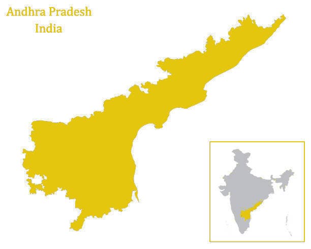 Map showing JJ Spices location in Duggirala, Andhra Pradesh, India - the heart of Indian turmeric production